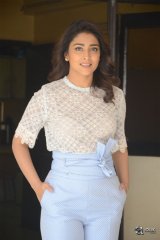 Shriya Saran Latest Photos